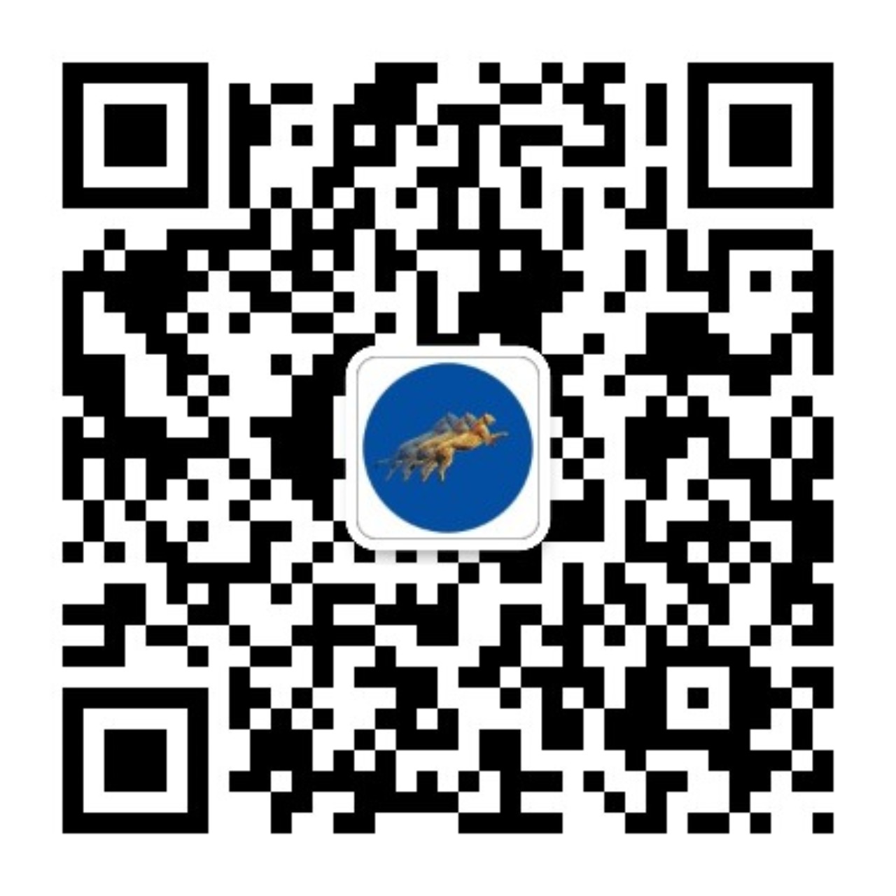 广东顺威新材料